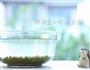 宝宝版绿豆糕 宝宝辅食微课堂的做法图解2