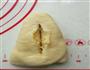 三重椰子叶形面包的做法图解15