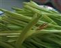 绿的青翠欲滴-凉拌黄花菜的做法图解1