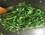 蒜蓉空心菜的做法图解5