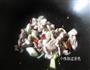 豆角焖面的做法图解1