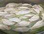 牛肉馅蒸饺的做法图解11