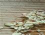 夹子小姐的可乐鸡翅的做法图解2