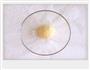 手工鲜奶红豆芋圆的做法图解7