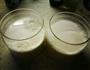自制酸奶的做法图解3