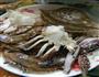 香辣蟹的做法图解1
