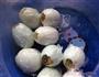 糯米蛋的做法图解3