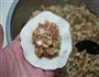 猪肉洋葱包菜饺子的做法图解11