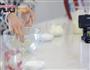 抹茶樱花冻芝士的做法图解7