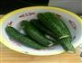 酱黄瓜的做法图解1
