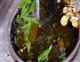 比红豆薏米还祛湿的-海带豆角的做法图解5