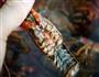 蒜香小龙虾的做法图解6