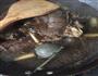 酱牛肉的做法图解8
