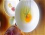宝宝辅食-黄金蛋羹的做法图解2