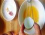 宝宝辅食-黄金蛋羹的做法图解3