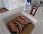 看西餐如何烹饪大鱼大肉-培根鸡肉菠菜卷的做法图解6