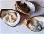 黄芪蜜生蚝的做法图解3