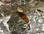 庆祝粉丝破百，做个特立独行的女王-日式果香牛排大碗饭的做法图解16