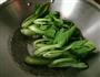 鸡汁小青菜的做法图解3