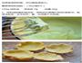 抹茶泡芙的做法图解6
