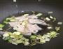 猪肉酸菜炖粉条的做法图解4