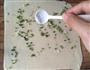 葱香花卷的做法图解6