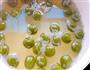 绿茶粉圆的做法图解6