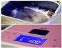 豆沙毛毛虫面包的做法图解11