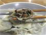 三鲜水饺的做法图解5