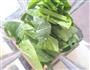 菠菜戚风的做法图解2