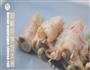 芝士的3+1种有爱吃法的做法图解9