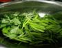 蒜蓉空心菜的做法图解1