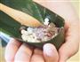 红豆水晶粽的做法图解8