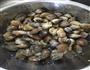 辣炒花甲的做法图解2