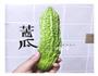 苦瓜汁的做法图解1