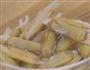 酸辣蛏子的做法图解1
