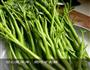 蒜泥空心菜的做法图解1