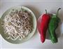 双椒炒豆芽的做法图解1