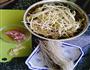 豆芽菜炒粉条（卷饼用）的做法图解1