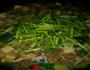 烩菜的做法图解10