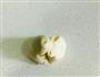 蛋黄酥的做法图解38