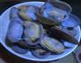 蛤蜊蒸蛋的做法图解4