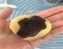 豆沙广式月饼的做法图解4