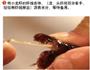 麻辣小龙虾，让你做一个享受美食的吃货的做法图解2