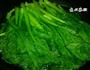 清炒小白菜的做法图解2
