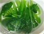 清炒小白菜的做法图解3