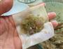 芹菜鲜虾馄饨的做法图解6