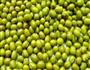 百合绿豆汤的做法图解1