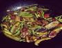 炒面片儿–农村的美食的做法图解5