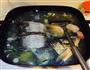 鲤鱼炖豆腐的做法图解6